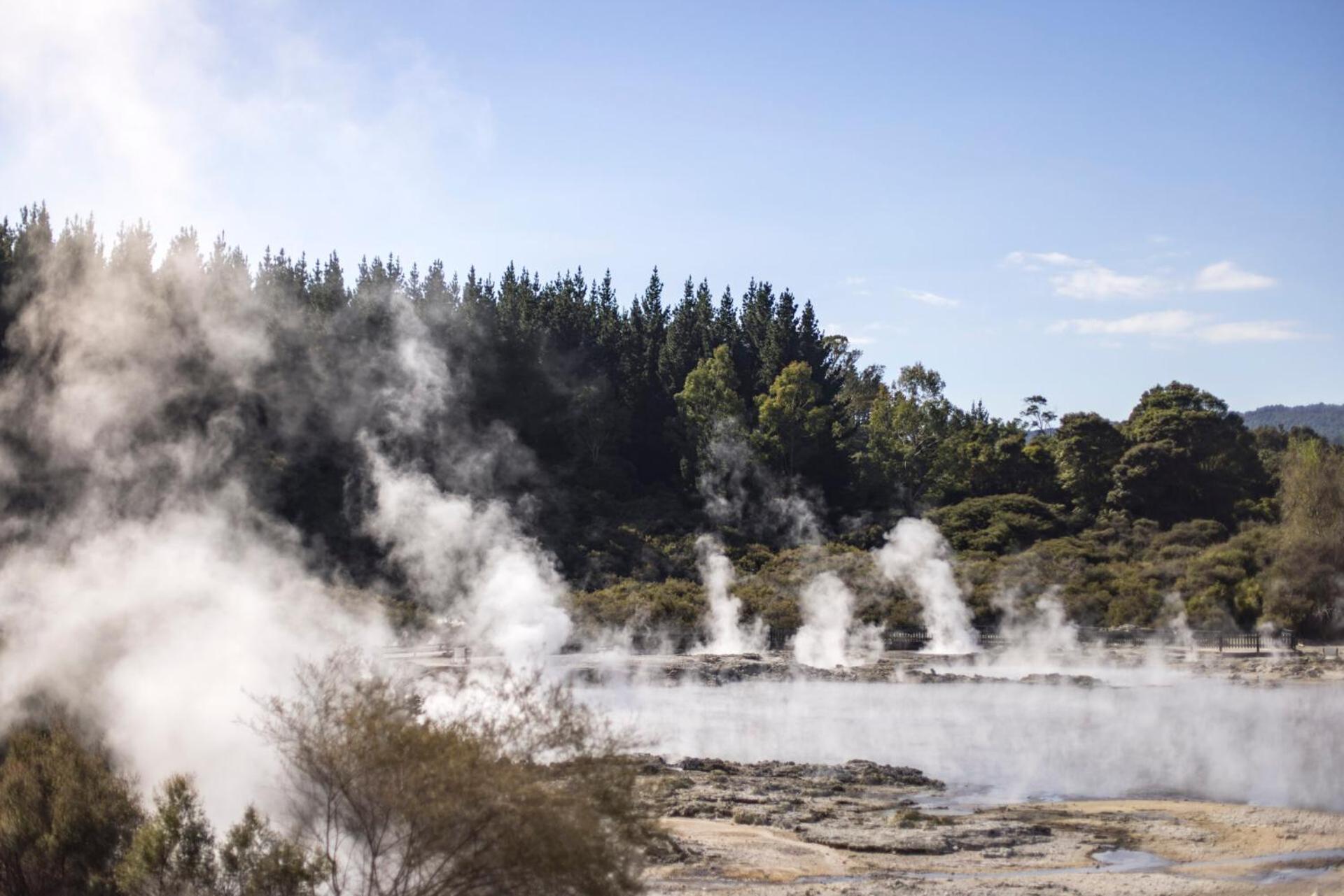 Tasman Holiday Parks - Rotorua Eksteriør bilde